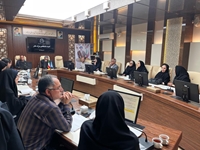 نظربه اهمیت ارتقای سلامت مادران و در راستای اجرای سیاست های کاهش مرگ و میر مادران باردار به عنوان یکی از شاخص های توسعه پایدار، کمیته تخصصی بررسی علل مرگ یک مورد مادر باردار در دانشگاه برگزار شد